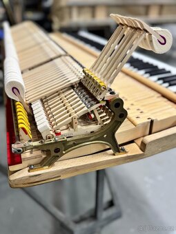 Steinway & Sons Modell D- 274 cm Only now super price - 19