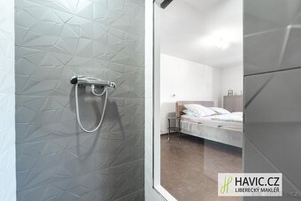Prodej bytu 5+kk, 201,4 m, Liberec IV-Perštýn, Dr. M. Horáko - 19