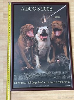Foto Obrazy Antonín Malý s motivy psů 3 ks - 19