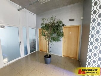 Brno - Horní Heršpice, pronájem kancelářské budovy, openspac - 19