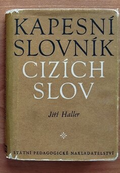 Angličtina. Slovníky, mluvnice. Skripta ekonomie, účetnivtví - 19