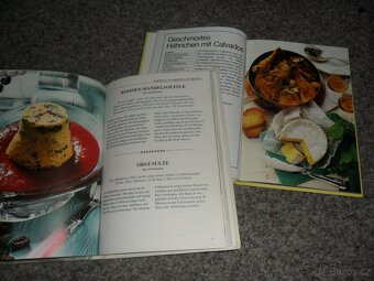 Bible FrJ, literatura USA, pohádky Sibiře RJ/AJ, kuchařky NJ - 19