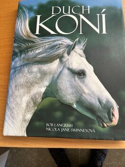 Koně