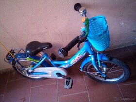 Kolo puky