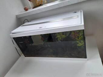 Prodám akvarium 54l se vsim