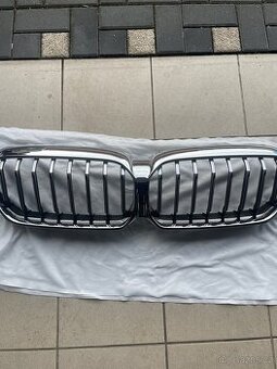 Ledvinky g31 - 1