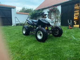 Bashan 250 bez TP