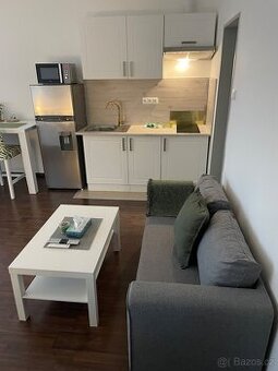 NABÍZÍM DLOUHODOBÝ  PRONÁJEM KOMPLETNĚ ZAŘÍZENÝ ZAHRADA PAR.