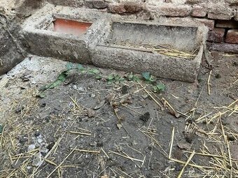 DARUJI ZDARMA Koryta- žlab- květináč- truhlík