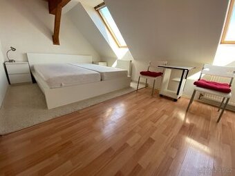 POKOJ K PRONÁJMU - Cena za celý pokoj (neplatí se za osobu)