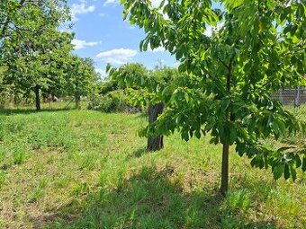 Prodej stavebního pozemku 930 m² - Tuřany, Brno