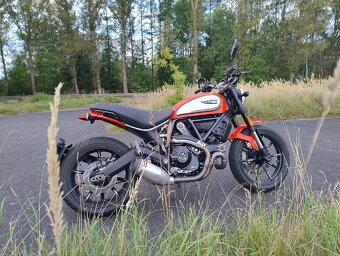 Ducati Scrambler Icon 800 2021