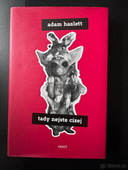Tady nejste cizej (Adam Haslett)