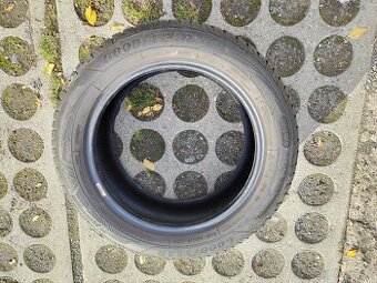 Zimní pneu Goodyear 225/55 R17 XL 1 kus