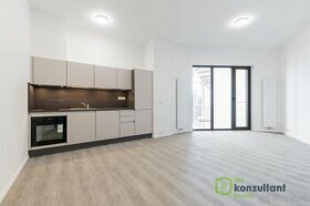 Pronájem byty 1+kk, 35 m2 - Brno - Veveří, ev.č. 00463