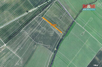 Prodej pole, 243 m², Hrušky - 1