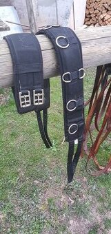 Lonžovaci obřišník