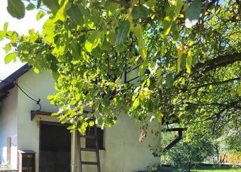 Zahrada se zděnou chatkou v Petrovicích u Karviné Závadě - 1