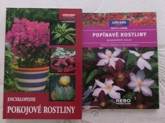 Pokojové + popínavé rostliny.