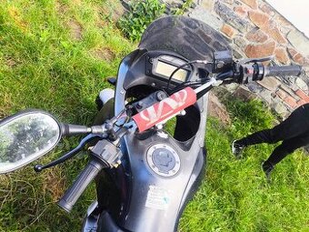 suzuki xf 650 freewind