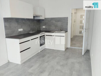 Pronájem bytu 1+1, 47 m2, po rekonstrukci, nezařízený, Praha
