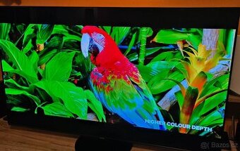 OLED 65" TV PANASONIC TX-65HZ1000E