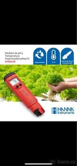 Hanna