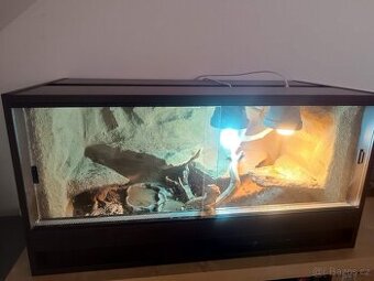 Terárium pro agamu