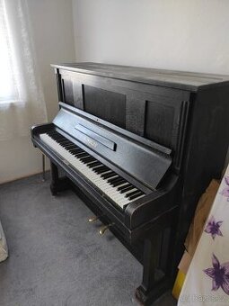 Piano Scholze