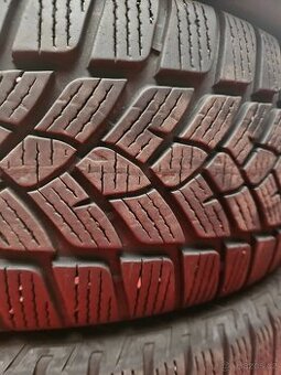 205/55R17 95V XL Eskimo HP 2 SAVA