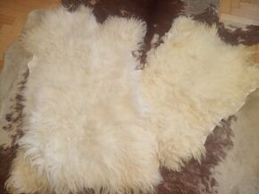 Ovčí kožešiny