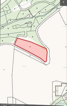 Louka Lukavec u Pacova