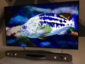 LG Smart TV OLED 139CM + Soundbar