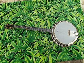 PĚTISTRUNNÉ BANJO - 1
