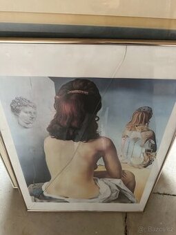 Daliho nahá žena / Salvador DALI: Má nahá žena pozoruje své