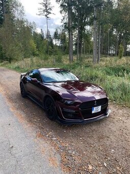Ford Mustang 5.0