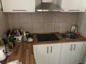 Pronajem garsonka 30m2 breclavi - 1