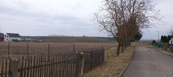 Prodám pozemek v obci Dolní Stakory, okr. Mladá Boleslav
