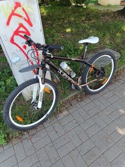 Dámské kolo Skott Contessa 30
