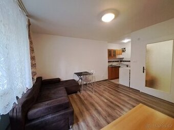Pronájem 1+kk-zvýšené přízemí 28m², okno do zahrady. Šilingr