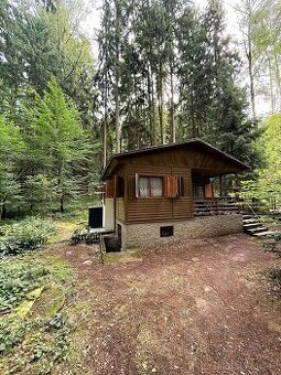 Prodej chaty – Permoník u Týna nad Vltavou (50 m od Lužnice) - 1