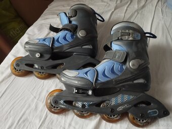 Brusle lední a inline