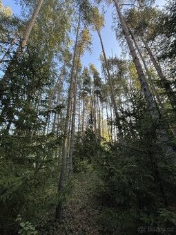 Prodej, pozemek, 19 719 m, Kojkovice 117, Krásná Hora, Česko - 1