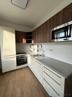 Prodej bytu 3+1, 55 m2, Nová Ves u Sokolova - 1