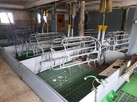 Porodní klec pro prasnice