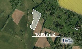 Pole 10 998 m², Podíl 10 % o výměře 1 146 m²