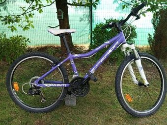 Horské kolo Superior dětské 24"