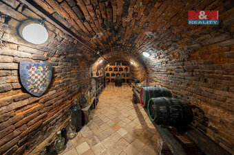 Prodej vinného sklepu, 55 m², Josefov