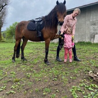 Pony kobylka