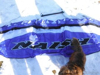 Kite